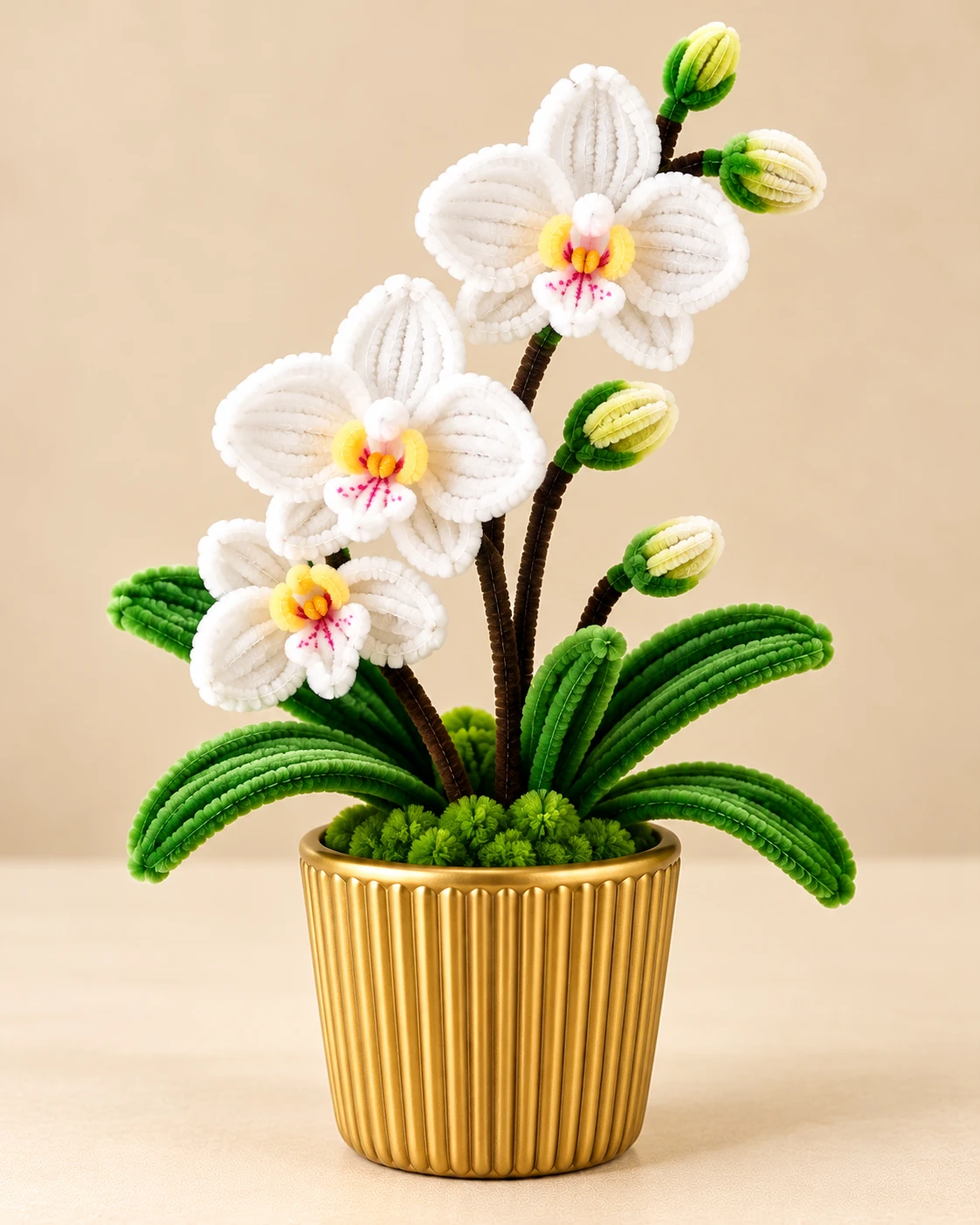 Eternal Solitaire Orchid