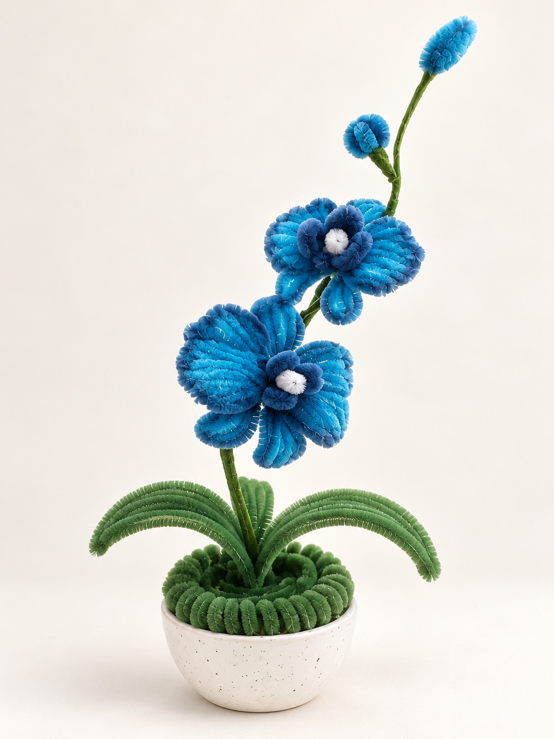 Sapphire Orchid